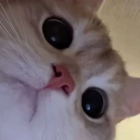 โคริจัง(น้องน.อ.)