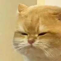 แอด