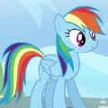 reinbow dash