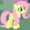fluttershy
