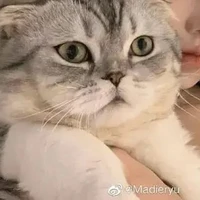แอดเองจะ
