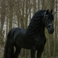 besh<cavalo de dunny>