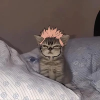เวฟ