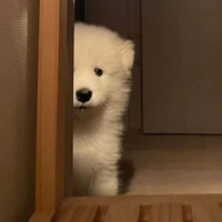 แอดเอง💫