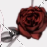 บุปผาโลหิต//แชท