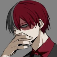 Shoto todoroki