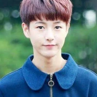 huang Renjun 🦊