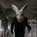 Bunny Killer