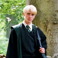 draco / alpha