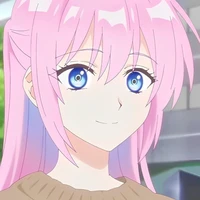 Y/n