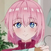 Y/n