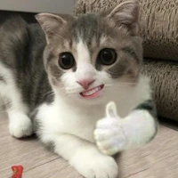 ซิกม่า