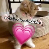 เเอด🎀🌈