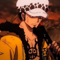 law