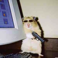 Autora: hamster 