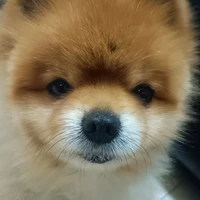？？？