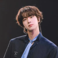 Kim Jin (mother of Twin Kim