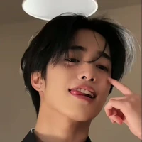 irmão de hyunjin