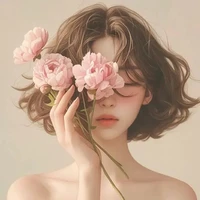 stella(auteur)