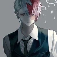 🤍❤️todoroki»O,D«❄️🔥