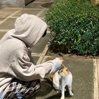 เมฆ