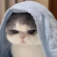 ？？？Author 
Author