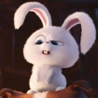 System (Bun475)