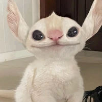 เหนือช่บก้วย