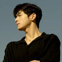 Cha Eunwoo