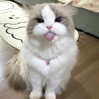 kira