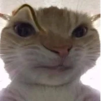 เเอดเองงงงงง