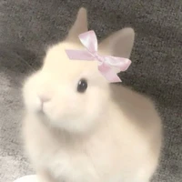 โอลีฟส์🐇
