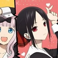 Y/N Akari