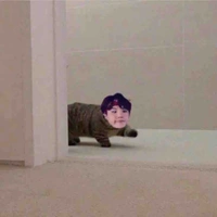 Little meow meow