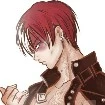 Shoto Todoroki