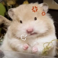 แอด