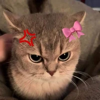 แอดเป็นเก