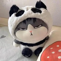 แอดเองฆระ