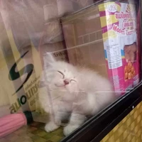 คนเเต่งเอง？？？