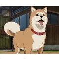 Kuro(Lihan