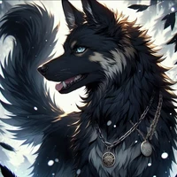 Shadow