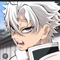 sanemi shinazugawa