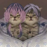 Taka Yuuri🐧 [Author]