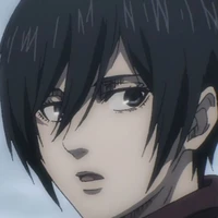Mikasa ackerman