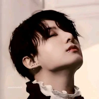 jeon jungkook(true blood alpha)