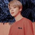 jimin(chimchim)