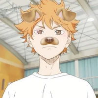 Hinata shoyou