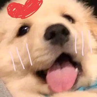 แอดเอง