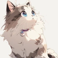 Street Cat