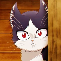 Yoru